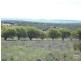 Lot 112 Jurien Bay Vista, Jurien Bay WA 6516