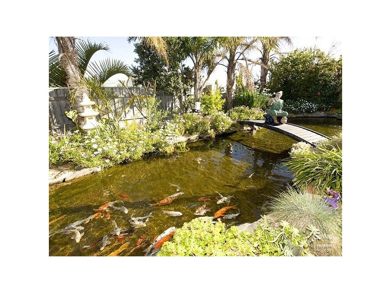 15 Rainham Avenue, Mindarie WA 6030