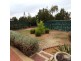 19 Pinegrove Mews, Currambine WA 6028