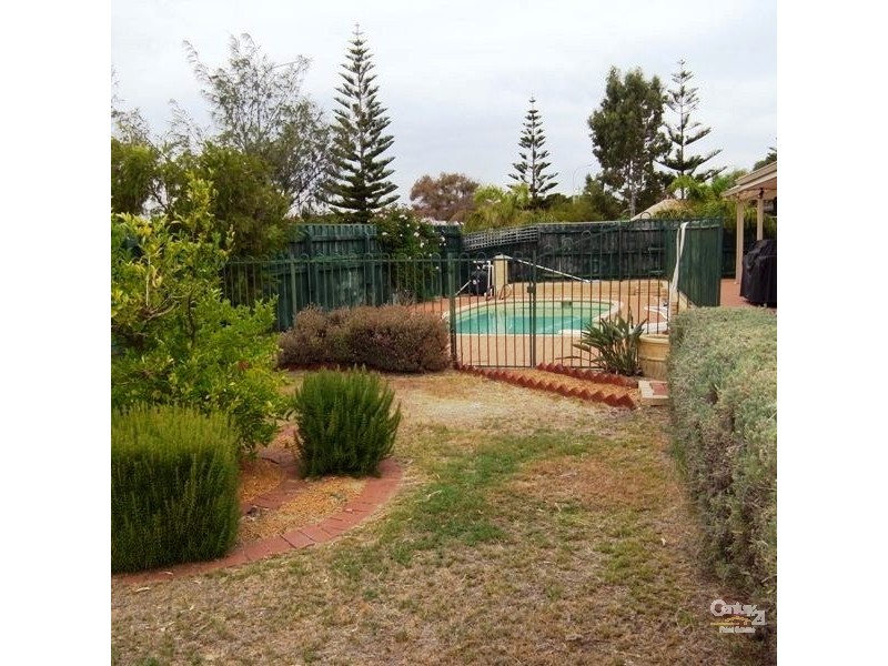 19 Pinegrove Mews, Currambine WA 6028