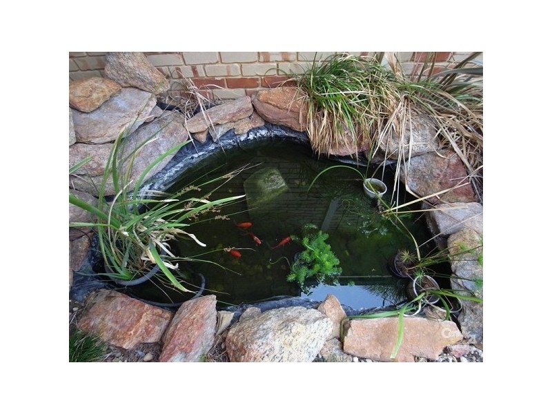 8 Ostend Parade, Mindarie WA 6030