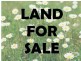 6 Fedamore Approach, Ridgewood WA 6030