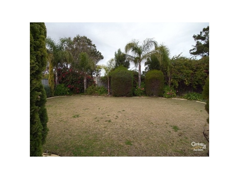 31 Stradbroke Gardens, Ridgewood WA 6030