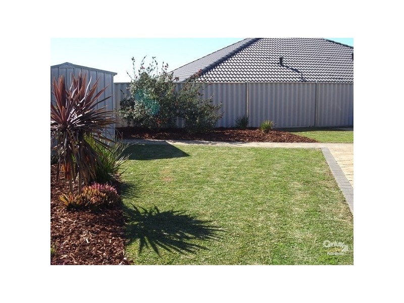 37 Media Crescent, Banksia Grove WA 6031