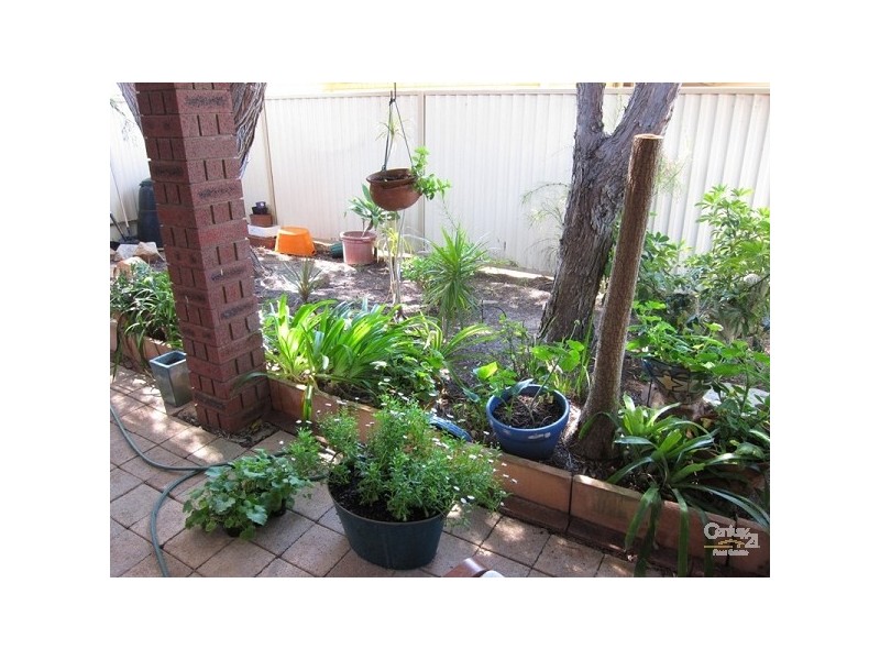 1 Crane Close, Ocean Reef WA 6027