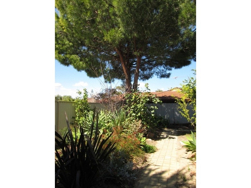 1 Crane Close, Ocean Reef WA 6027