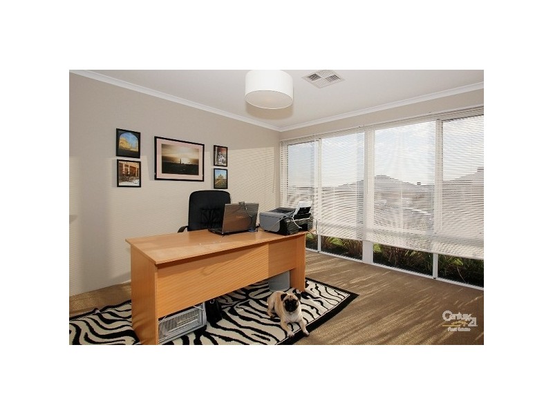 41 Elmhurst Drive, Clarkson WA 6030