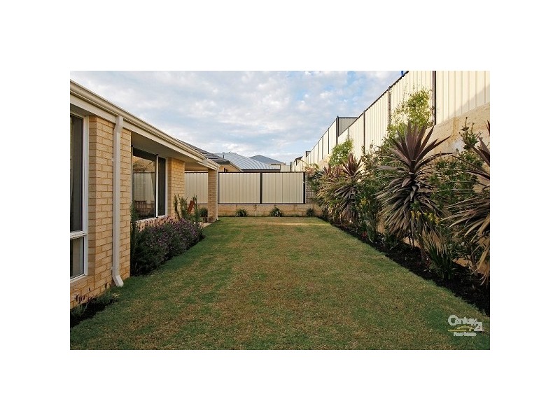 41 Elmhurst Drive, Clarkson WA 6030