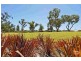9 Las Ramblas circle, Clarkson WA 6030