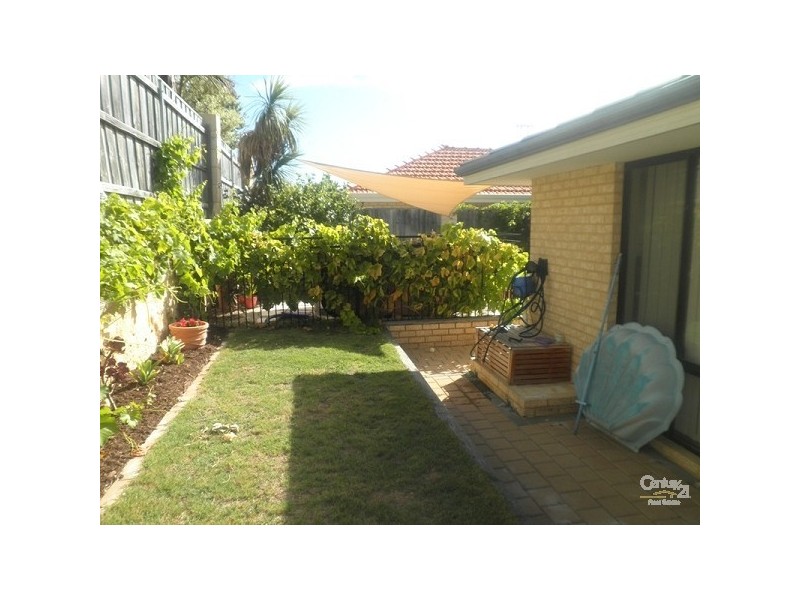 15 Savona grove, Mindarie WA 6030