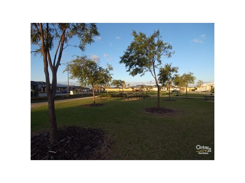 1 Gilford Green, Butler WA 6036