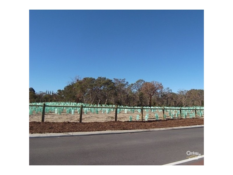 56 Waldburg Drive, Tapping WA 6065