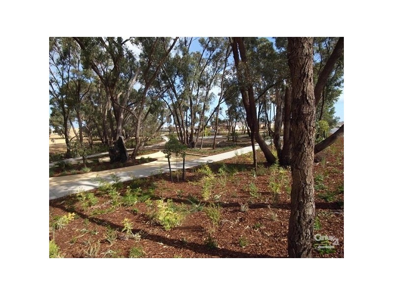 2 Larkhall Way, Butler WA 6036