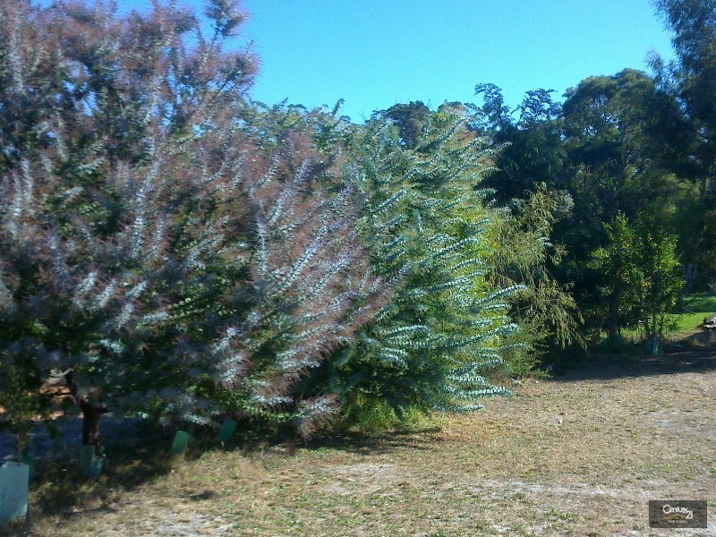 4 Wheatley Coast Road, Northcliffe WA 6262