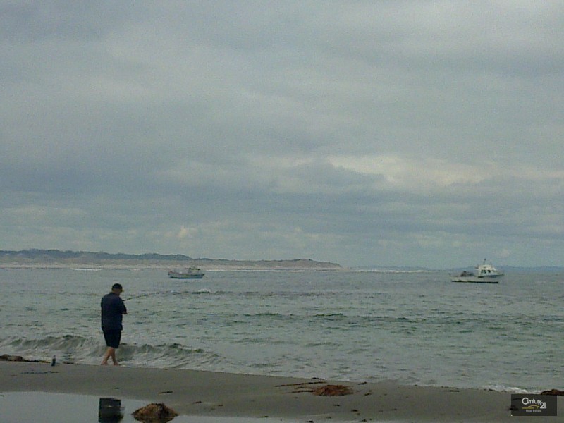 3 Wheatley Coast Road, Northcliffe WA 6262