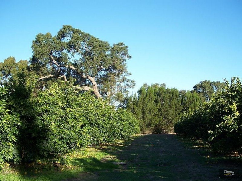 1358 Cowalla Road, Wanerie WA 6503