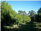 1358 Cowalla Road, Wanerie WA 6503