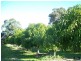 1358 Cowalla Road, Wanerie WA 6503