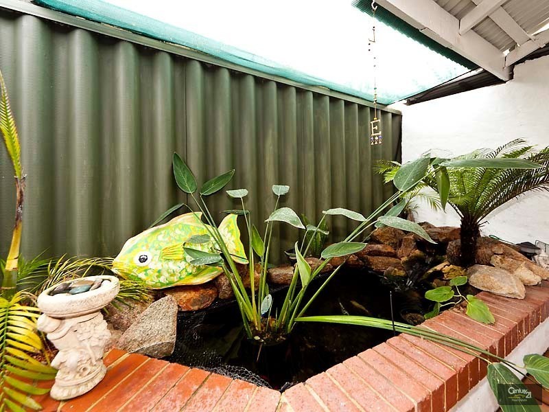 6 Kempton Grove, Clarkson WA 6030