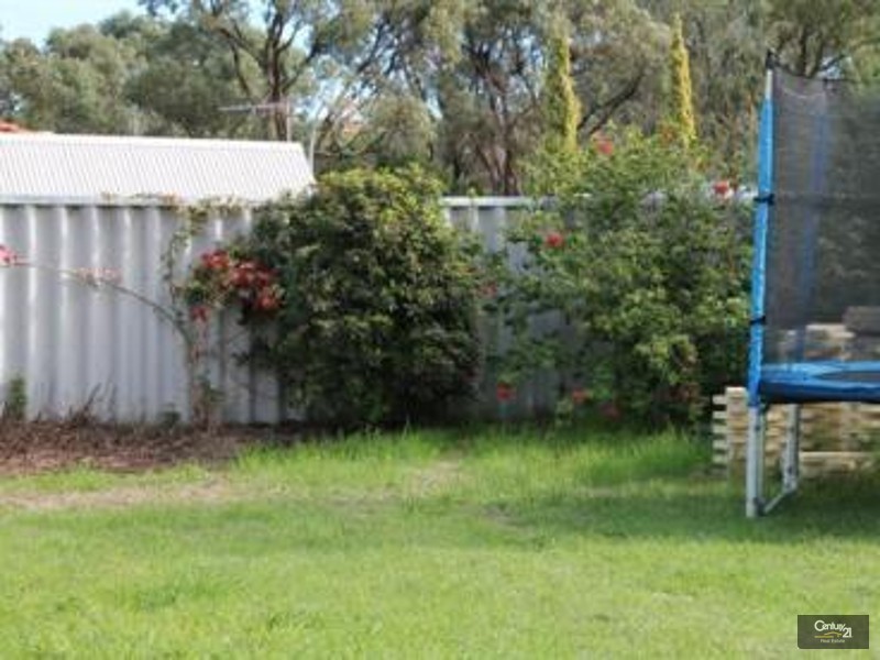 17 Hyland Cresent, Clarkson WA 6030