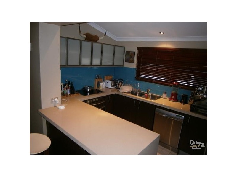 295 Hancock Street, Doubleview WA 6018