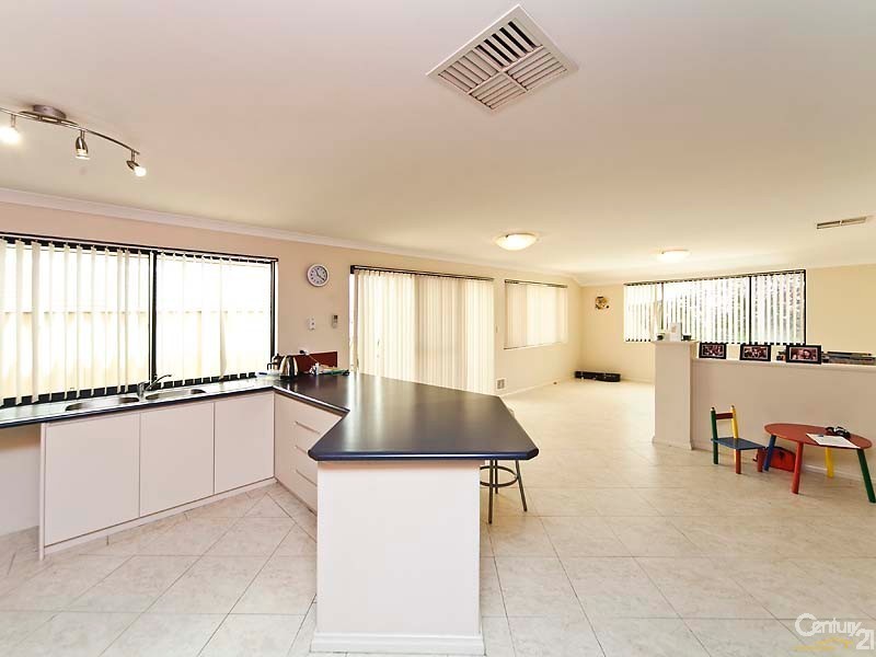 29 Pendleton Crescent, Butler WA 6036