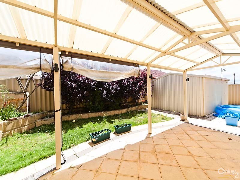 29 Pendleton Crescent, Butler WA 6036