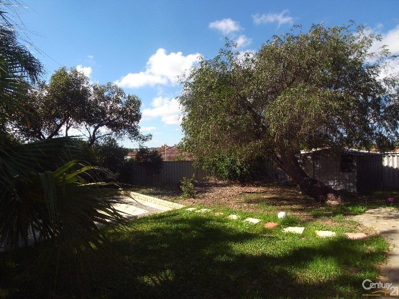 8 Steen Court, Clarkson WA 6030