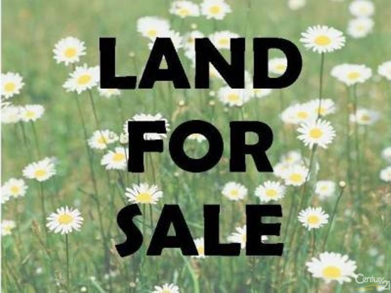 20 Shakespeare Avenue, Balcatta WA 6021