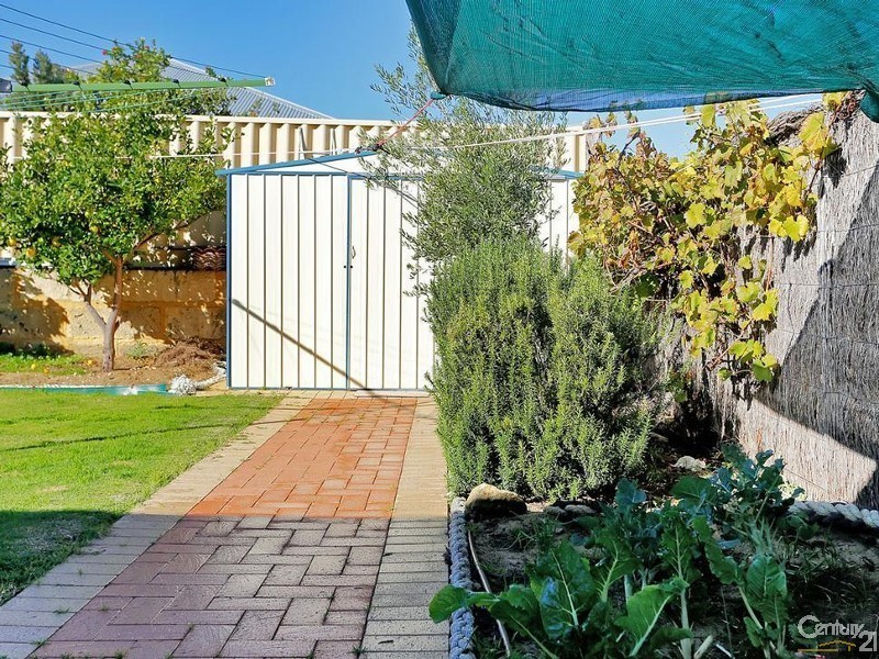 78 Pembury Way, Butler WA 6036