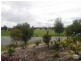 125 Tapping Way, Quinns Rocks WA 6030