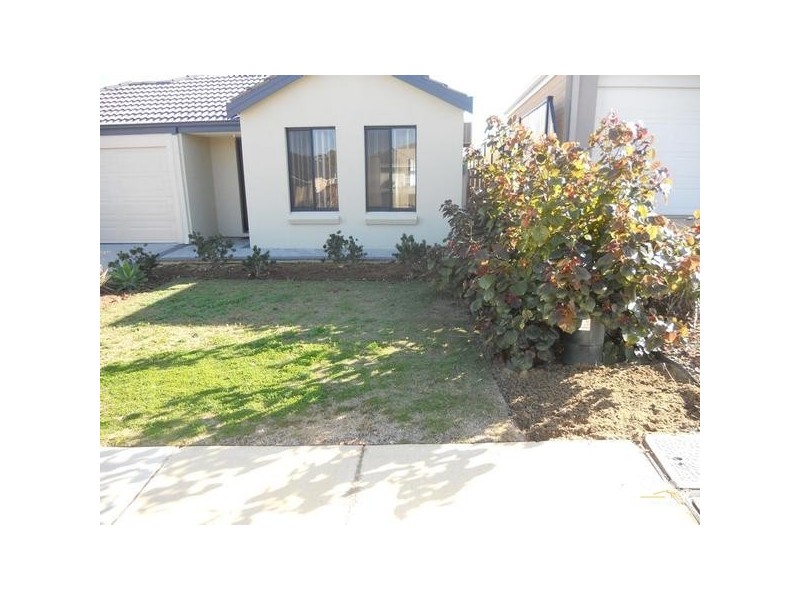 62 Somerly Drive, Clarkson WA 6030