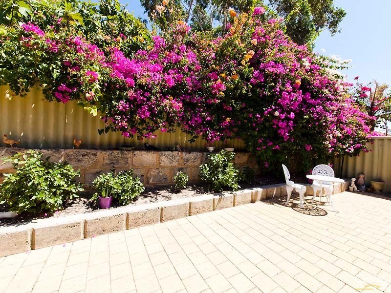 33 Garrigan Place, Clarkson WA 6030