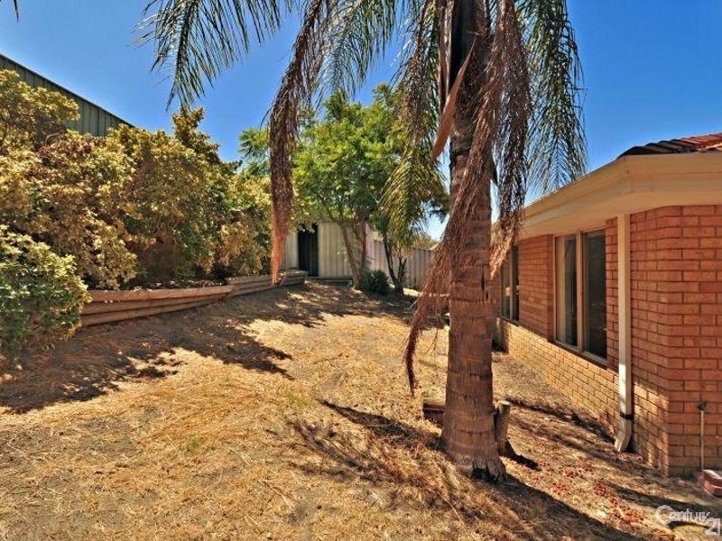 40 Attwood Place, Clarkson WA 6030