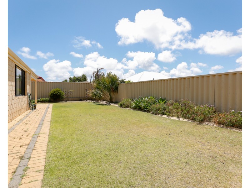 8 Warnford Street, Butler WA 6036