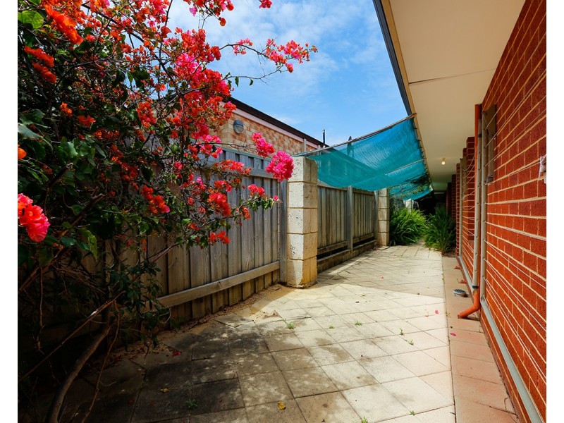 19 Imari Retreat, Mindarie WA 6030