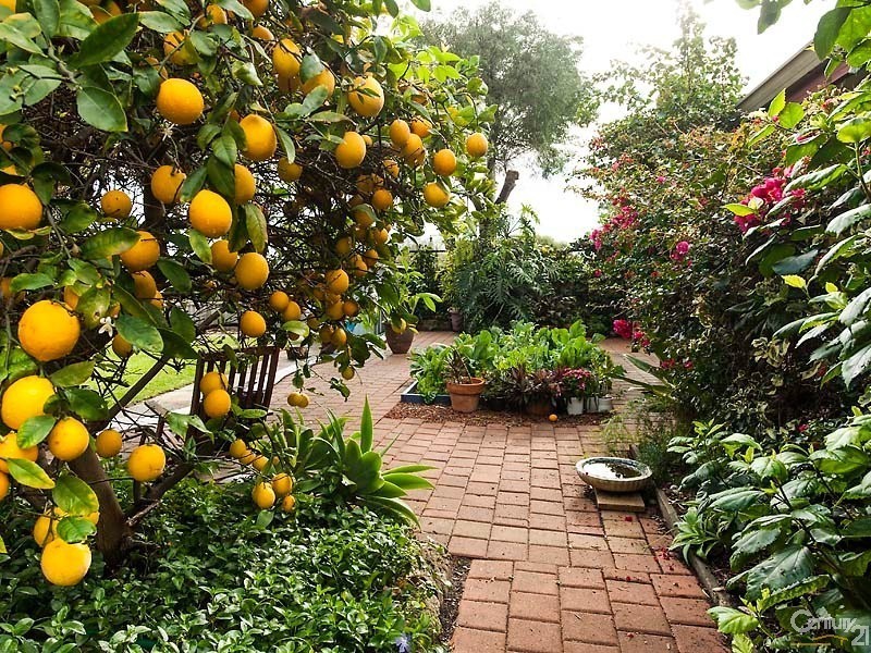 33 View Terrace, Quinns Rocks WA 6030