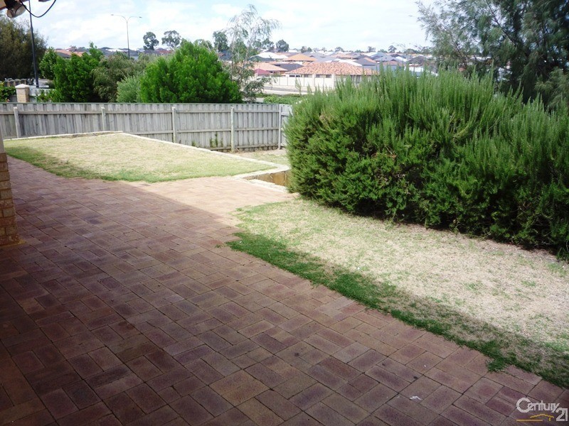 19 Dewar Mews, Clarkson WA 6030