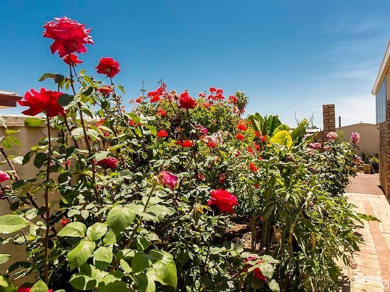 21 Barrallier Way, Padbury WA 6025