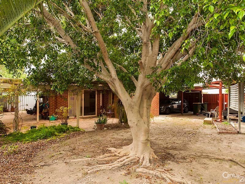 42 Whiston Crescent, Clarkson WA 6030