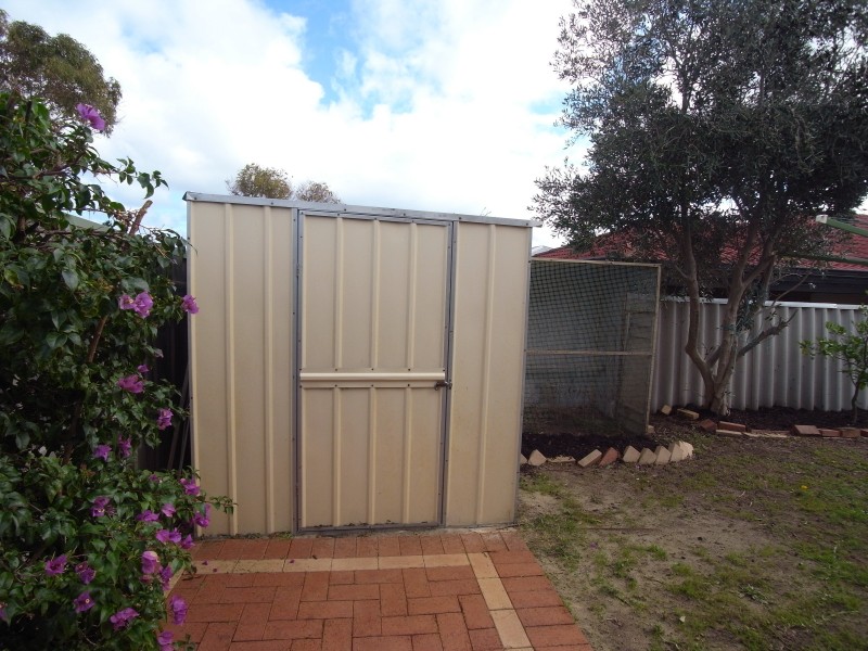 25 White Tern Elbow, Quinns Rocks WA 6030