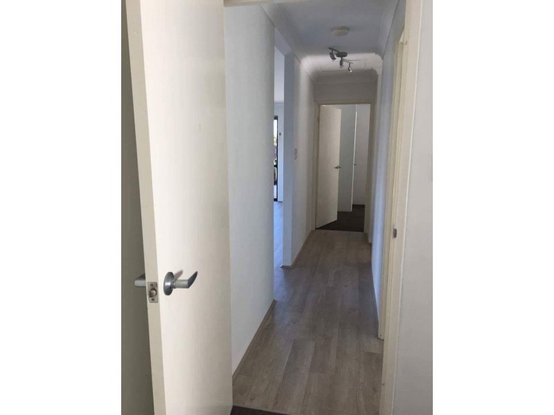 87 Rosegreen Avenue, Butler WA 6036