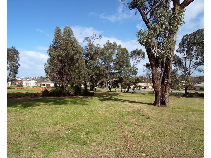 67 Celebration Boulevard, Clarkson WA 6030