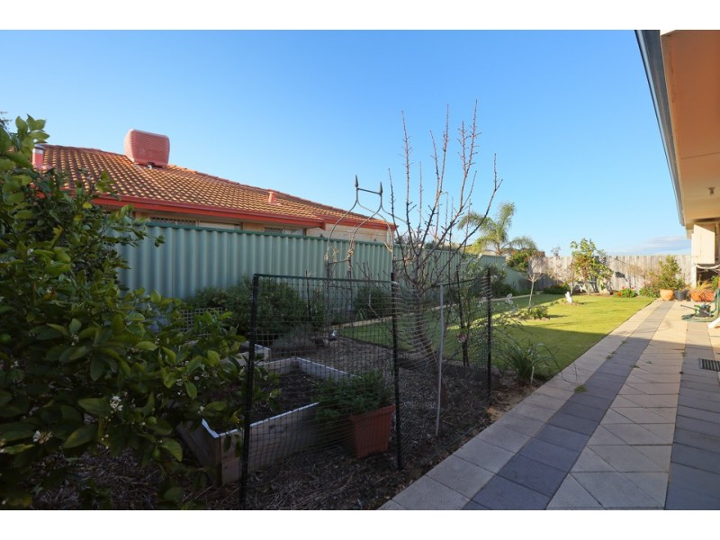 20 McPherson Avenue, Clarkson WA 6030