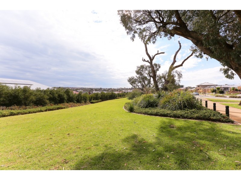 39  Caldwell Turn, Clarkson WA 6030