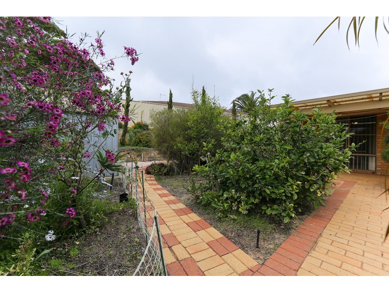 3 Talbingo Turn, Joondalup WA 6027