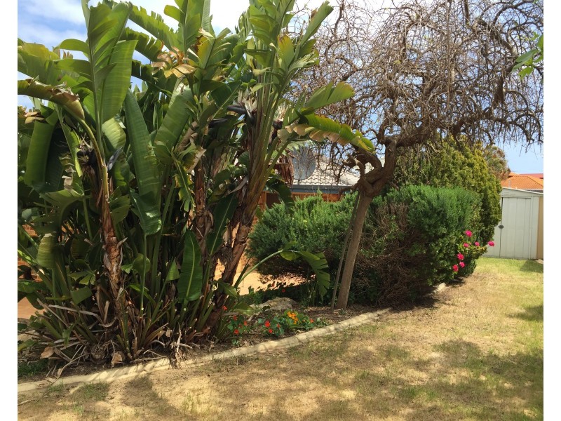 27 Limetree Circuit, Mindarie WA 6030