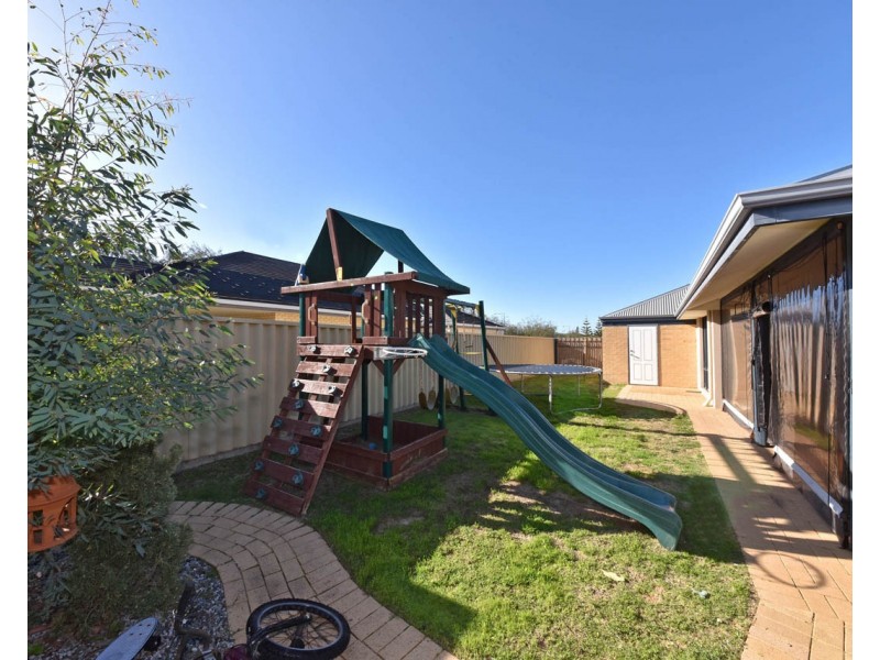 67 Tollesbury Avenue, Butler WA 6036