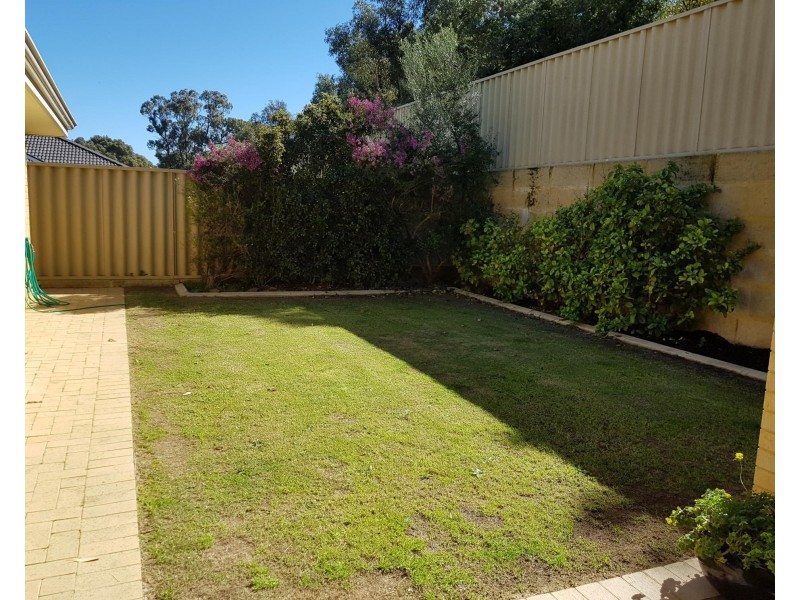 30 Broadford Avenue, Butler WA 6036