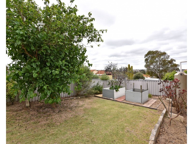 34 Attwood Place, Clarkson WA 6030